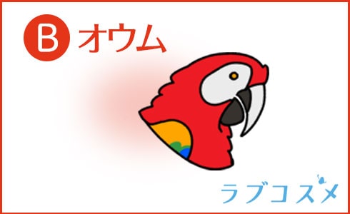 オウムを選んだあなた