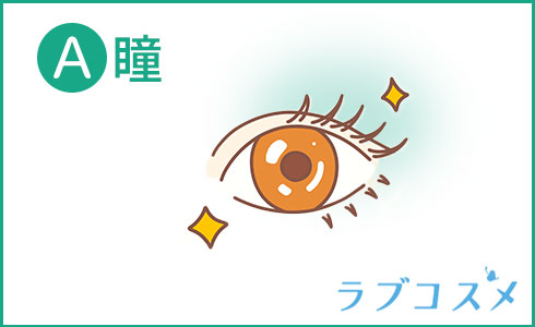 チャームポイント瞳