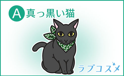 真っ黒い猫