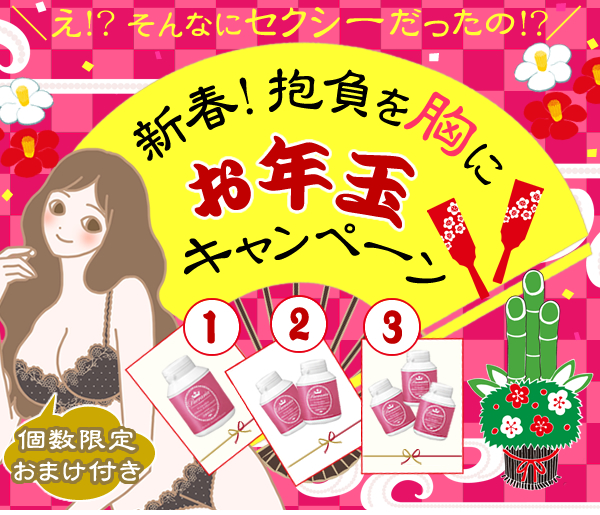 お年玉キャンペーン