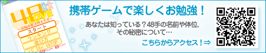 48手・携帯ゲーム