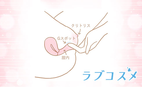 Gスポットの図解