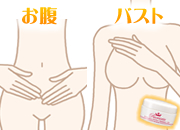 ポニョ腹&バスト