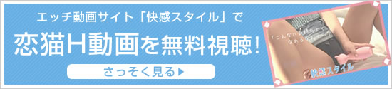 LCスタイル:快感スタイルバナー