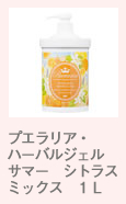 プエラリア・ハーバルジェル サマー シトラスミックス 1L