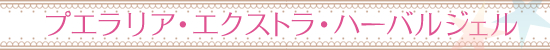 タイトル