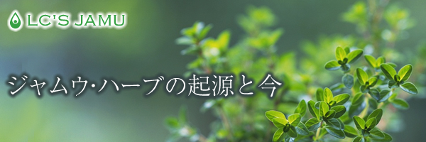 LC’S JAMU ジャムウ・ハーブの起源と今