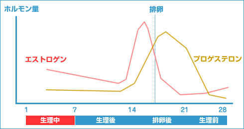 LC生理日予測/ホルモン量のグラフで説明します。