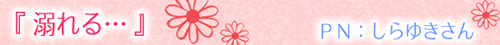 ̌@dqЃR{bP