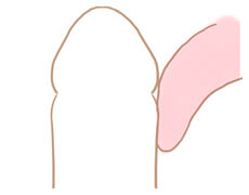 ステップ3裏筋の舐め方