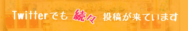 投稿きています