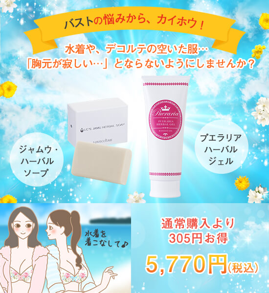 バストカイホウセット