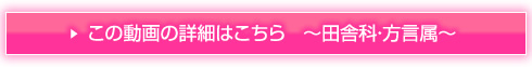 詳細はこちら