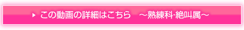 詳細はこちら