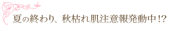 秋枯れ肌注意報