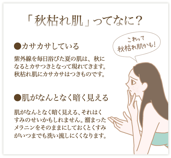 秋枯れ肌って何