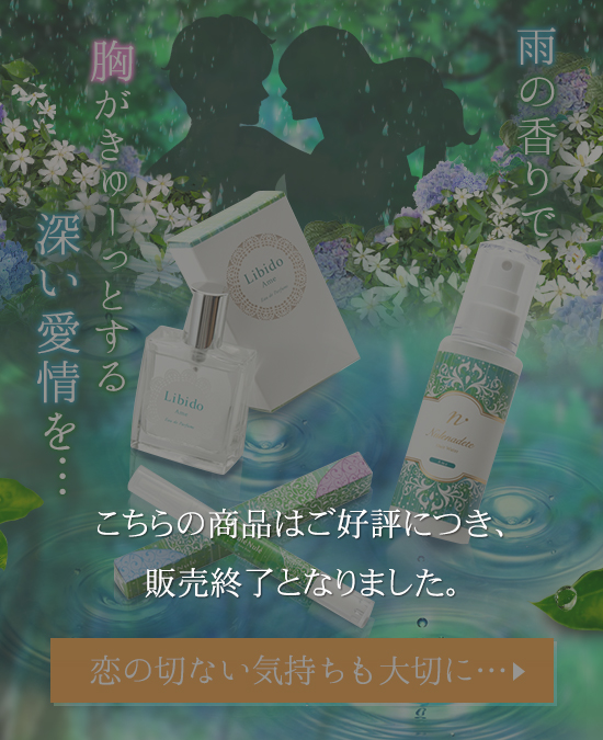 雨の日のような恋〜切なさも大切にしたい〜3点セット