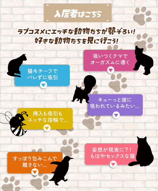 商品ラインナップ