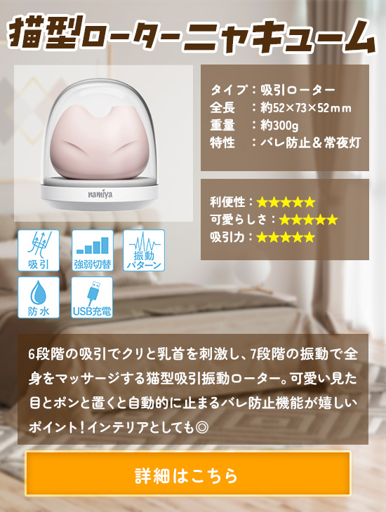 �z�����[�^�[�@�j���L���[��