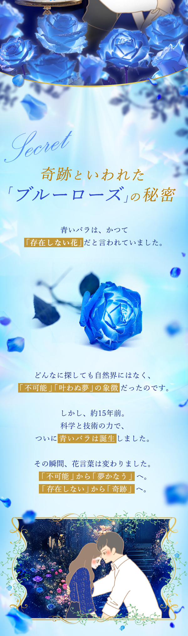 Blue Roseiu[[Yj `Ղ̎Ɂ` RZvg4