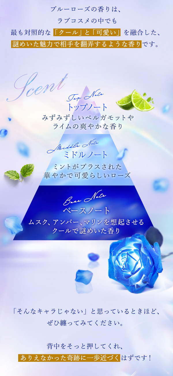 Blue Rose（ブルーローズ） ～奇跡をこの手に～