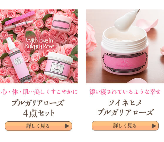 特集ページへ戻る