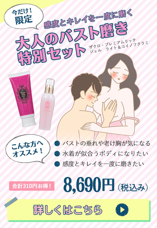大人のバスト磨きセット