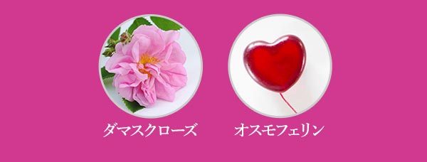 ダマスクローズ 香り
