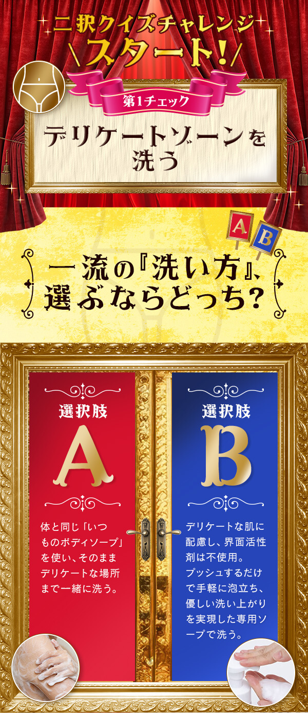 �f���P�[�g�]�[���r���[�e�B�[�i�t���`�F�b�N