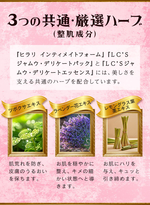 �f���P�[�g�]�[���r���[�e�B�[�i�t���`�F�b�N