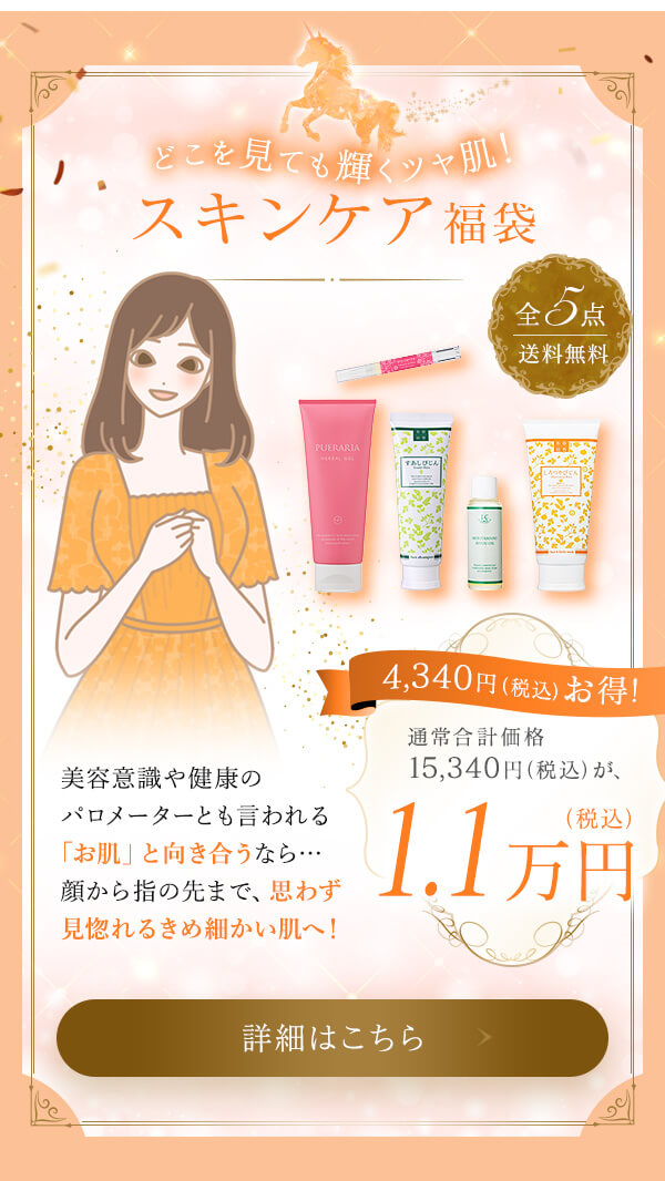 ���u�R�X�� 2026���܁@�ǂ������Ă��P���c�����I�X�L���P�A����