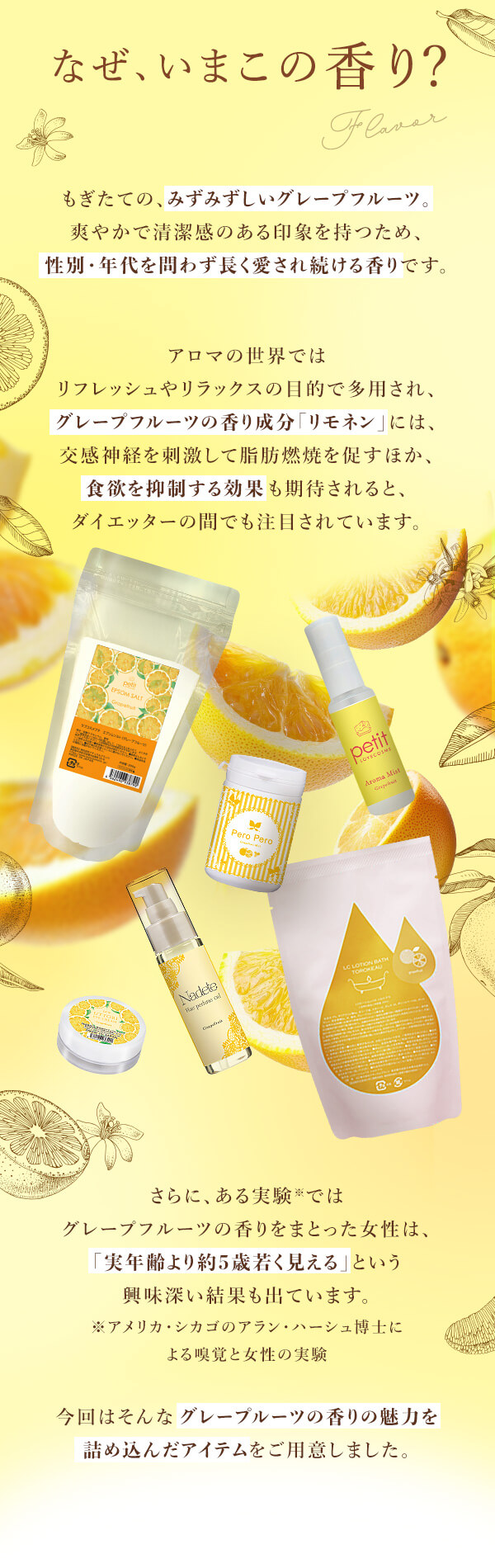 �O���[�v�t���[�c���|�Ȃ������̍���