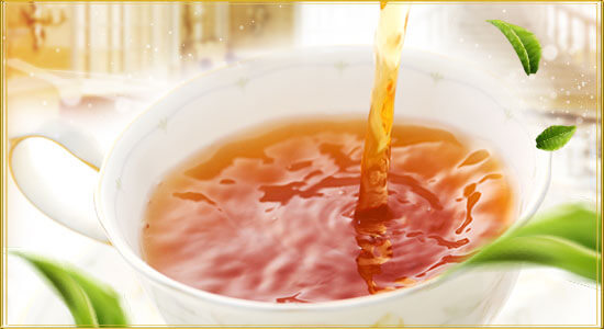 春摘み紅茶