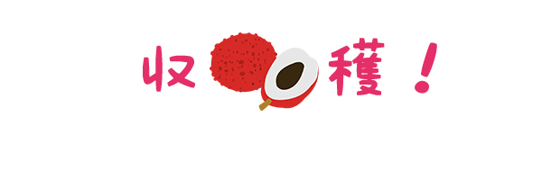 ライチ