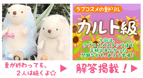 今後のイベント