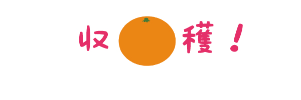 オレンジ