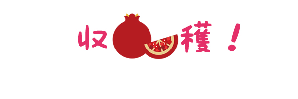 ザクロ