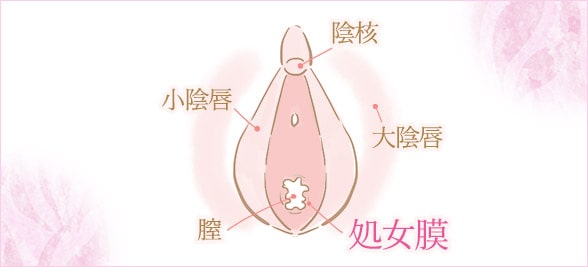 初体験準備 処女膜