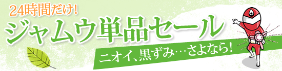 ジャムウ2012/タイトル画像
