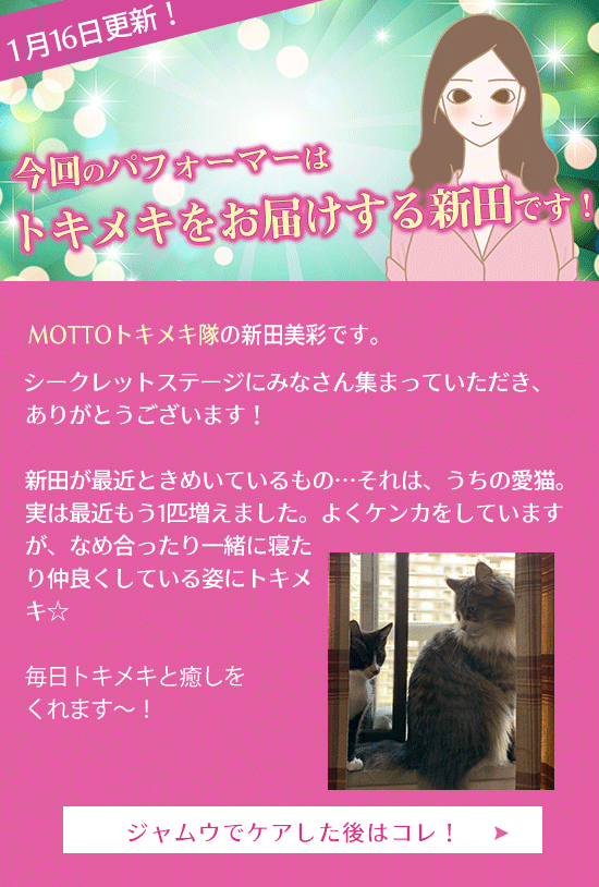 LCジャムウフェス 特別な情報