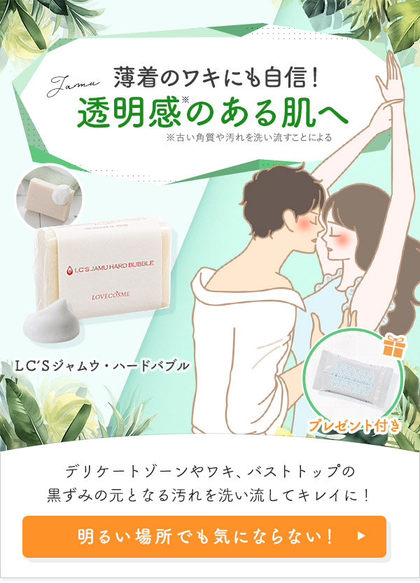 �k�b�f�r�W�����E�E�n�[�h�o�u��