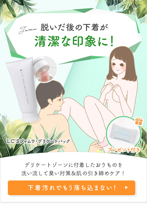 �k�b�f�r�W�����E�E�f���P�[�g�p�b�N