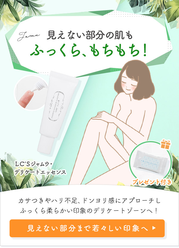 �k�b�f�r�W�����E�E�f���P�[�g�G�b�Z���X