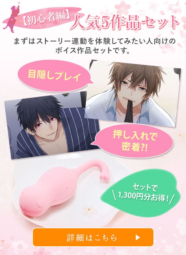 【初心者編】人気5作品セット