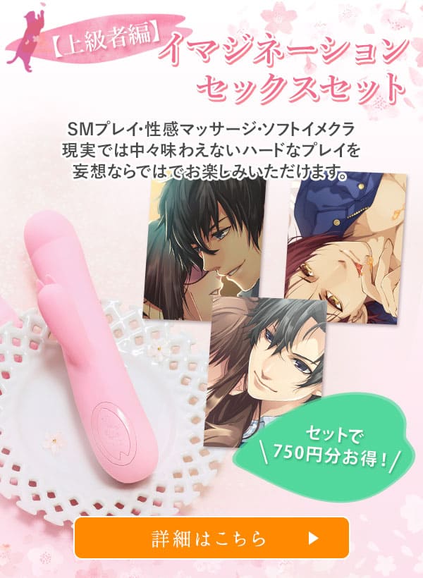 【上級者向け】イマジネーションセックスセット