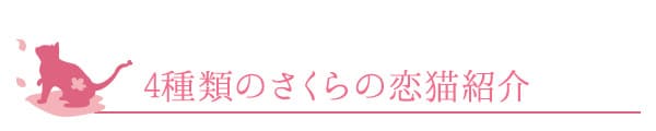 4種類のさくらの恋猫紹介
