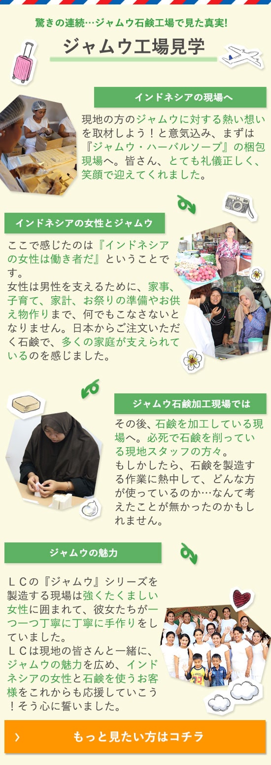 ジャムウ工場見学の図解