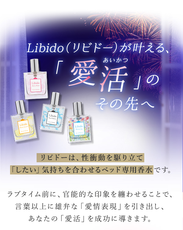 Libidoirh[j Ă̈Ly[ Libidoirh[jAuv̂̐