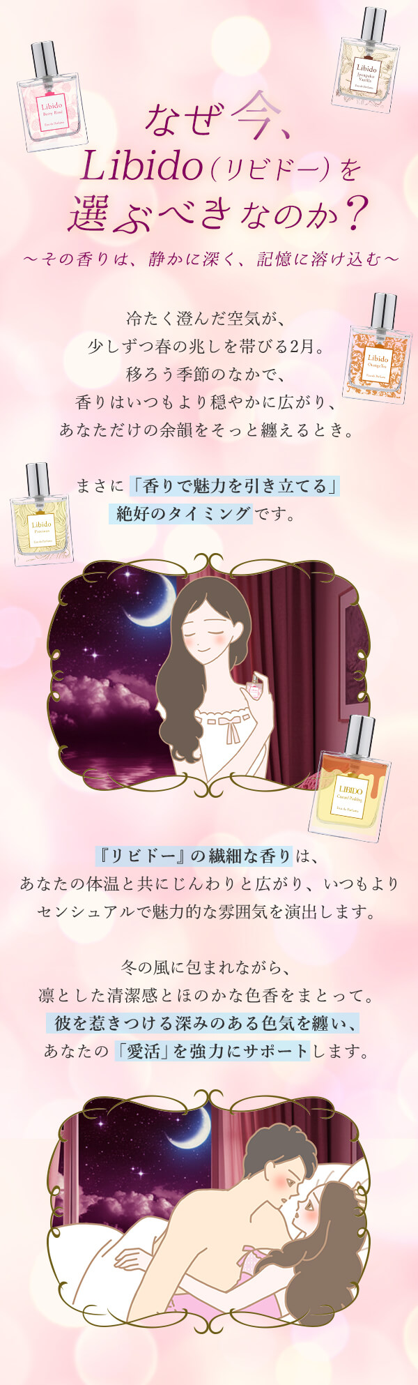 Libido�i���r�h�[�j �Z���̈����L�����y�[�� �R���Z�v�g