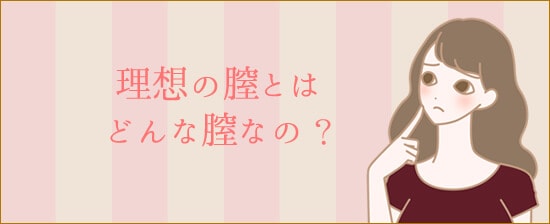 理想の膣とはどんな膣ですか?